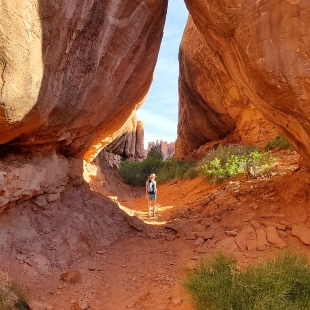 Meet your Posher, Liz